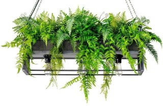 Moosee MOOSEE lampa wisząca / kwietnik SEMIRA 100 INDUSTRIAL