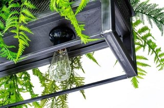 Moosee MOOSEE lampa wisząca / kwietnik SEMIRA 100 INDUSTRIAL