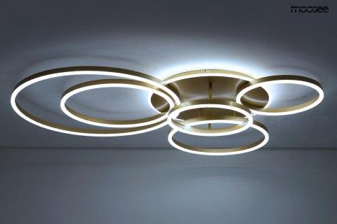 Moosee MOOSEE lampa sufitowa / plafon RINGS 6 złota