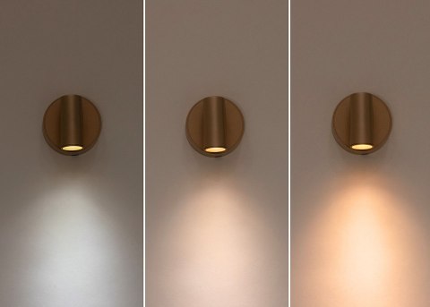 SHP Lampa ścienna SHP PICKET złota