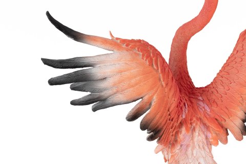 Kare Design KARE dekoracja stojąca FLAMINGO ROAD FLY