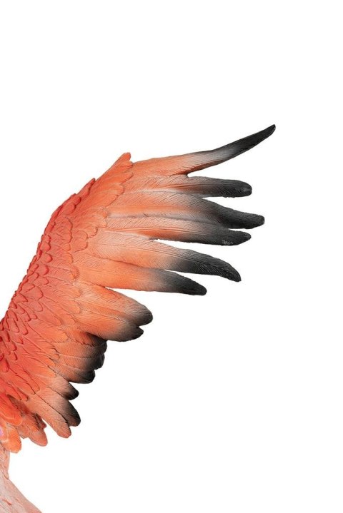 Kare Design KARE dekoracja stojąca FLAMINGO ROAD FLY