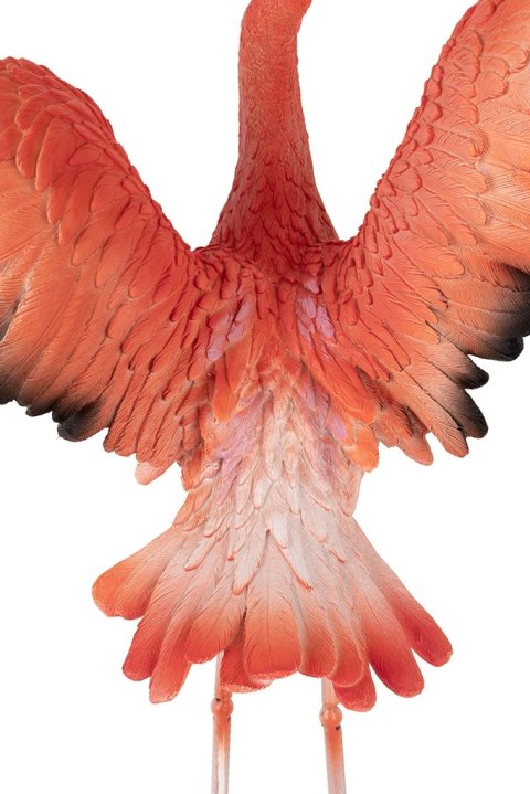Kare Design KARE dekoracja stojąca FLAMINGO ROAD FLY
