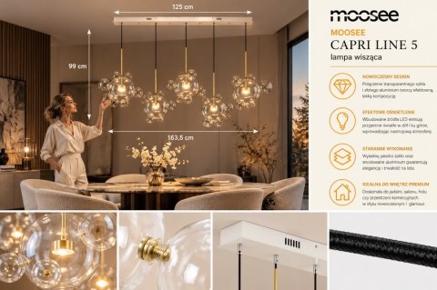 Moosee MOOSEE lampa wisząca CAPRI LINE 5 złota