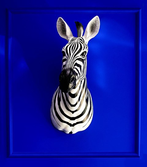 Kare Design KARE dekoracja ścienna ZEBRA