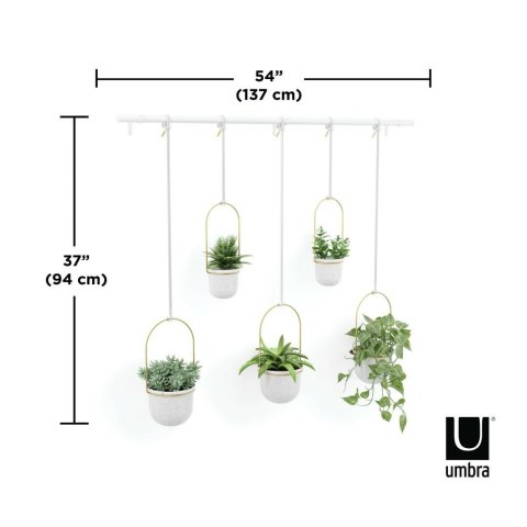 Umbra UMBRA donica wisząca TRIFLORA 5 LARGE biała / mosiądz