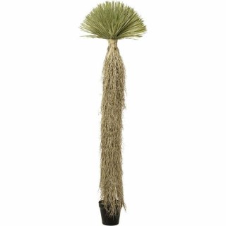 Kare Design KARE roślina dekoracyjna YUCCA ROSTRATA 240 cm