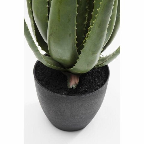 Kare Design KARE roślina dekoracyjna ALOE 69 cm