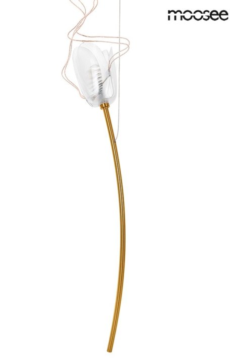 Moosee MOOSEE lampa wisząca TULIPPE 14 DISC złota