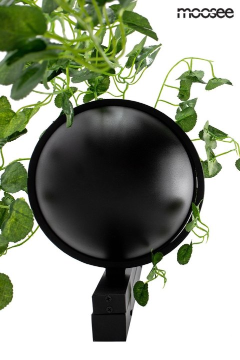 Moosee MOOSEE lampa ścienna PLANT WALL czarna
