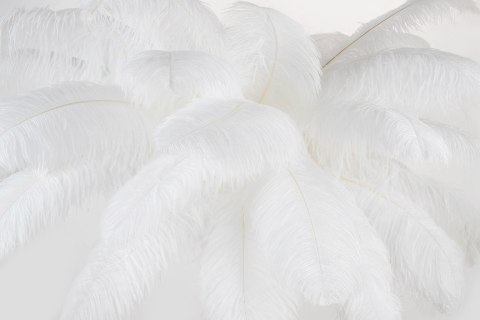 Moosee MOOSEE lampa podłogowa TIFFANY 175 biała mosiądz / naturalne pióra