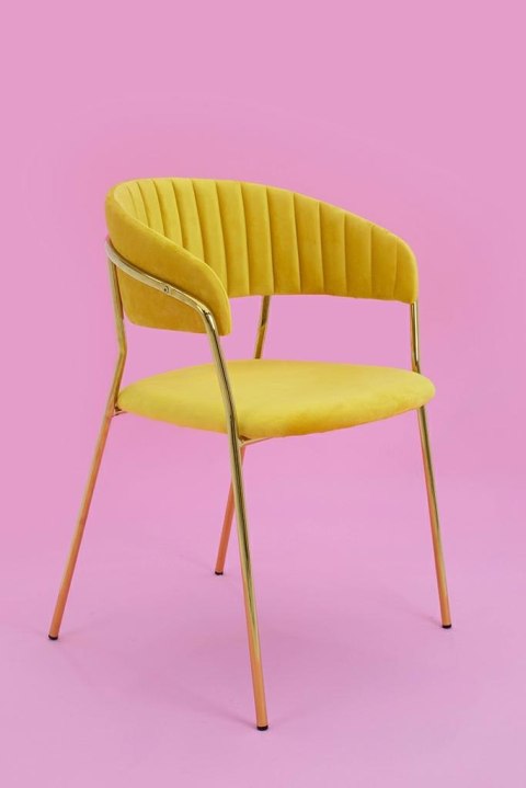 King Home Krzesło MARGO żółte - welur, podstawa złota