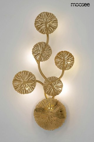 Moosee MOOSEE lampa ścienna LIRIO 6 złota