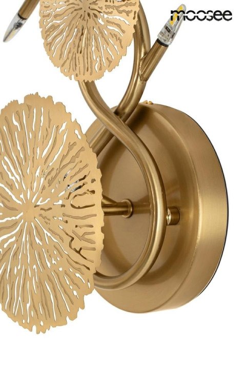 Moosee MOOSEE lampa ścienna LIRIO 6 złota