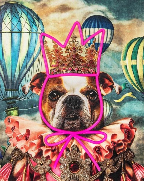 King Home Obraz NEON BULLDOG BALOON 80x100 cm