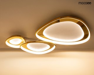 Moosee MOOSEE lampa sufitowa / plafon CELL 3 złota
