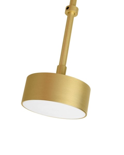 Moosee MOOSEE lampa wisząca CAPRI LINE 3 złota