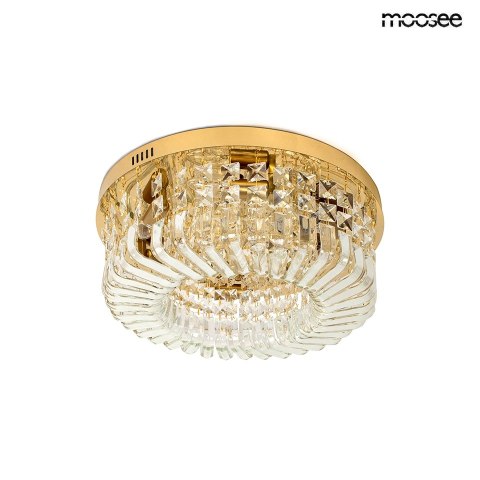 Moosee MOOSEE lampa sufitowa / plafon BALUNA 50 złota