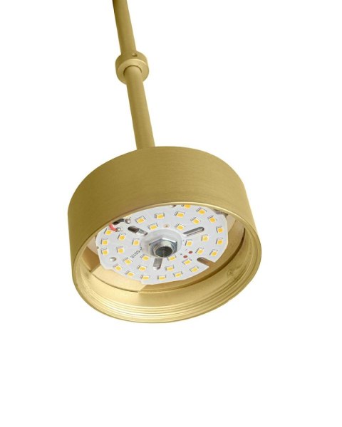 Moosee MOOSEE lampa wisząca CAPRI DISC 3 złota